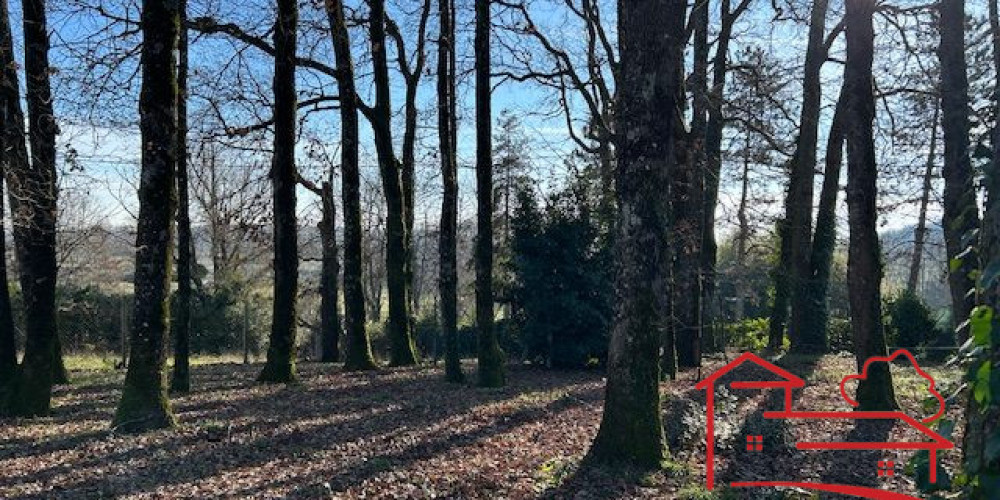 maison à LA CROIX BLANCHE (47340)